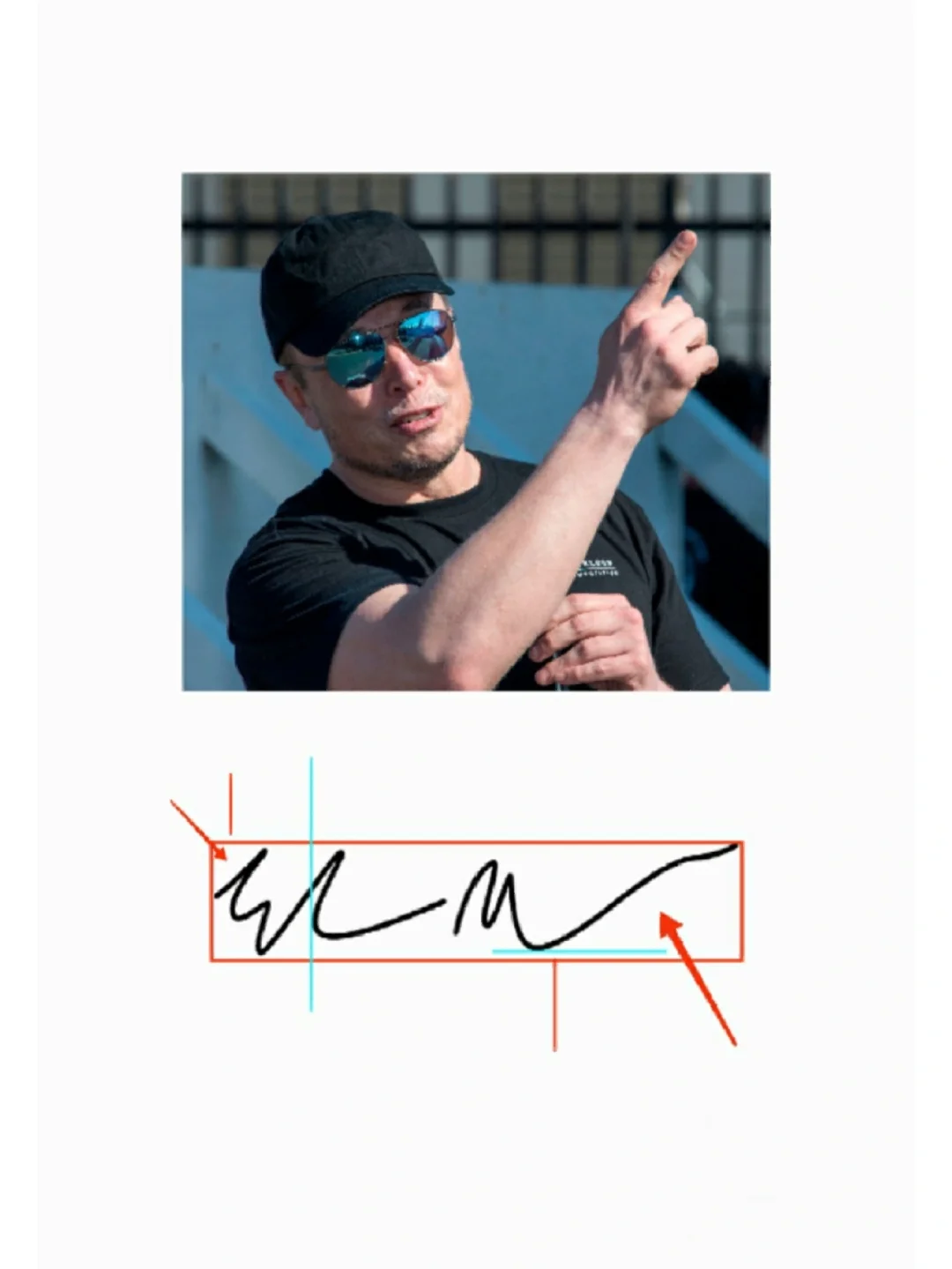 马斯克再次发推，TON瞬间上上扬74%！-开云