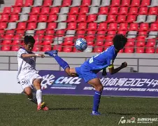 齐鲁黑豹队对阵雪域鲸鲨队，F1总决赛爆冷，门将神扑救主——争冠格局再洗牌-开云体育下载