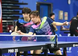 乒乓球夜战:云贵银狐队逆转岭东猎隼队,主帅临场妙招观赏性拉满 乒乓球夜战:云贵银狐队逆转岭东猎隼队,主帅临场妙招观赏性拉满